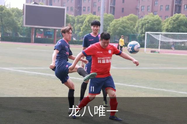 龙八唯一